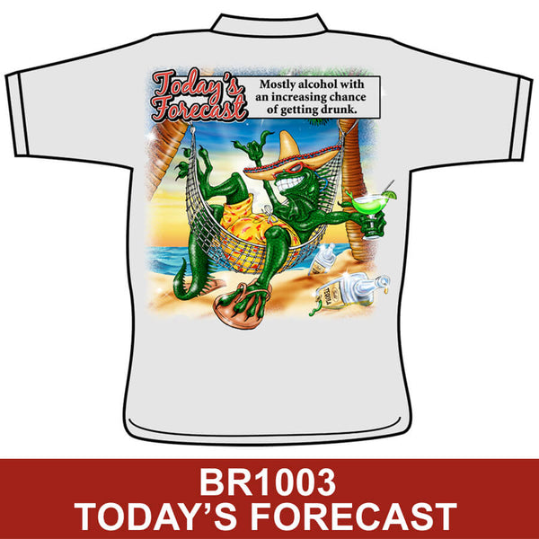 Today's Forecast - BR1003
